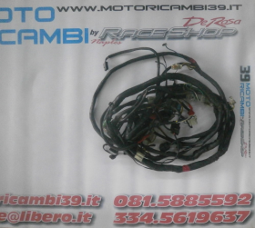APRILIA SCARABEO 200 LIGHT 07-11 IMPIANTO ELETTRICO COMPLETO