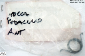 Molla di Ritorno per pedalino poggi apiedi Honda cod.50617-MBZ-G00 nuovo fondo di magazzino