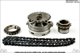 pompa olio con catena e ingranaggi originale Piaggio MP3 250 06 11
